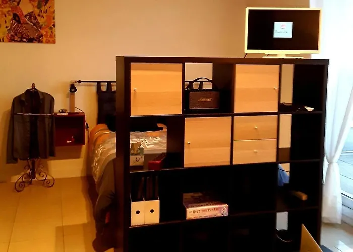 Beau T1 Calme En Centre Parking Terrasse